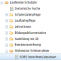 sok3.png